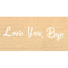 "Love You, Bye" Budget Wall Sign